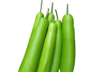 bottle gourd