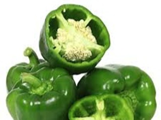 Capsicum