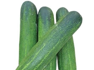 Cucumber
