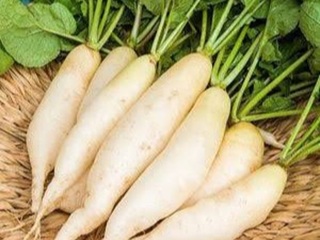 Radish