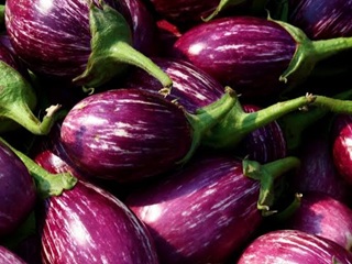Brinjal