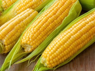 Corn